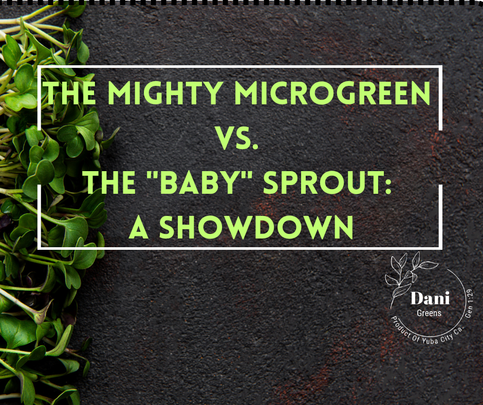 The Mighty Microgreen Vs. The "Baby" Sprout- A Showdown