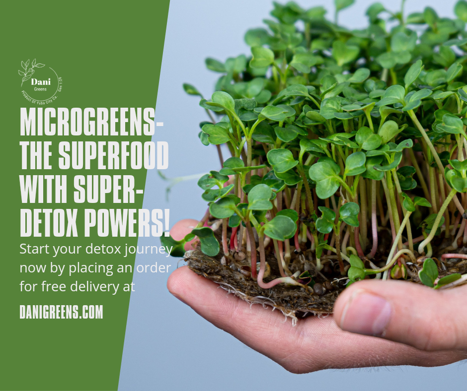 Microgreens- The SUPERFOOD with SUPER-DETOX powers!