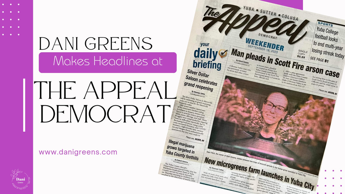 Dani Greens Makes Headlines at the Appeal Democrat: New Microgreens Farm Launches in Yuba City
