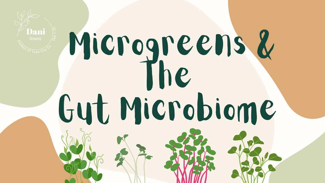 Microgreens & The Gut Microbiome