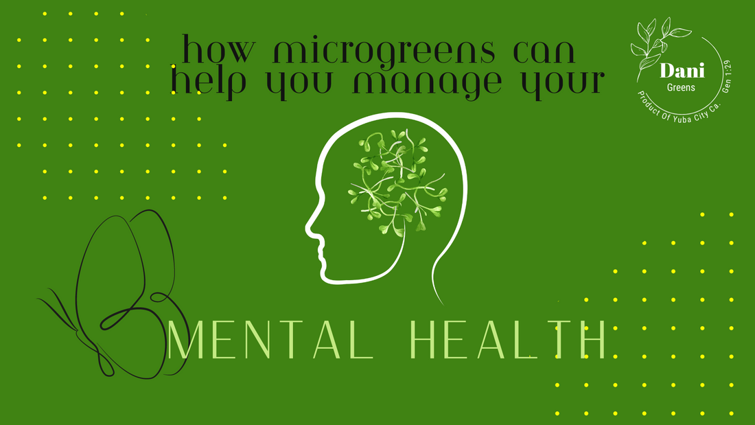 How Microgreens Can Help You Manage Your Mental Health