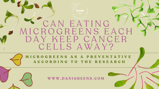 Can Eating Microgreens Each Day Keep Cancer Cells Away? - Microgreens as a Preventative According to the Research