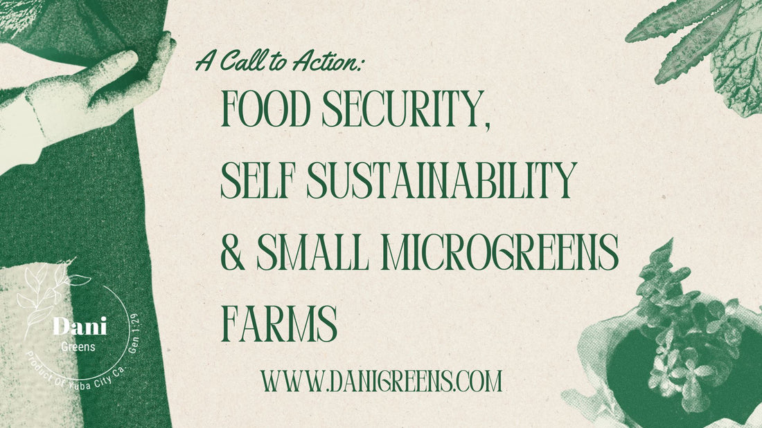 A Call to Action: Food Security, Self Sustainability & Small Microgreens Farms