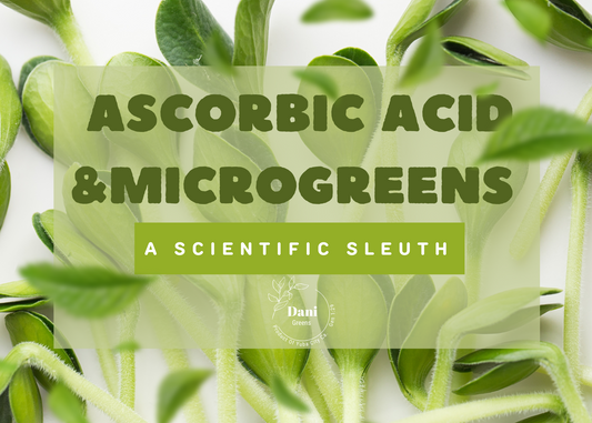 Ascorbic Acid & Microgreens: A Scientific Sleuth