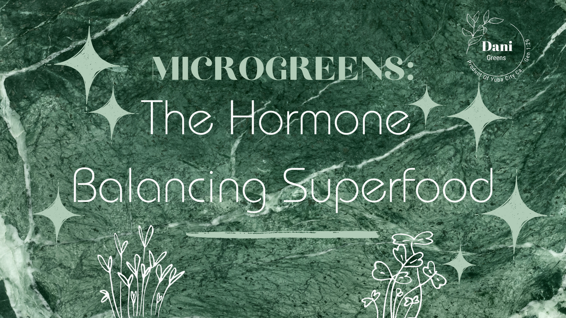 Microgreens: The Hormone Balancing Superfood